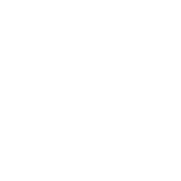 icon-electrical